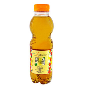 Ice Tea Bio Melocoton