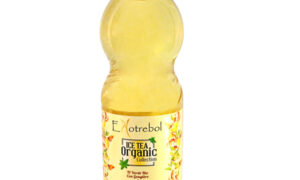 Té verde con jengibre BIO Ekotrebol