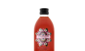 Kombucha açai y frutos rojos Bio Ekotrebol