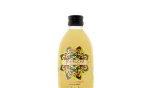 Kombucha limón y jengibre Bio Ekotrebol